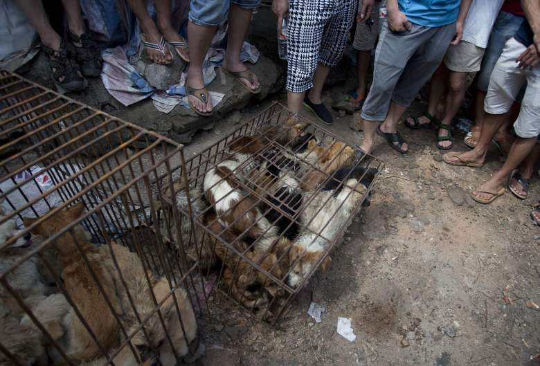 Yulin