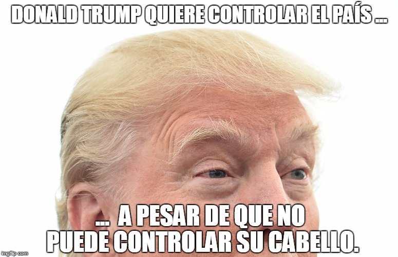 chistes del pelo de trump, memes pelo de trump