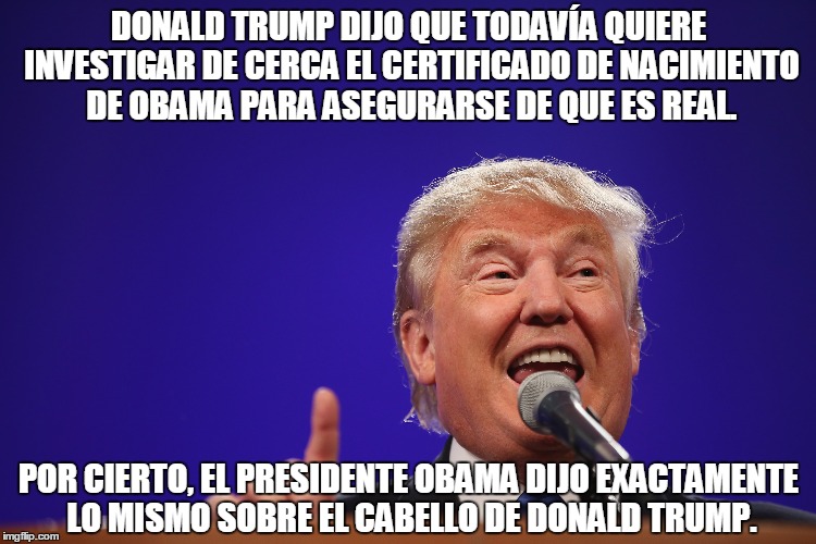 chistes del pelo de trump, memes pelo de trump