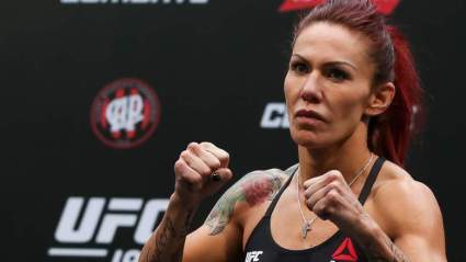 Cómo Ver UFC Fight Night Brasilia en Vivo Gratis por Internet y Móvil