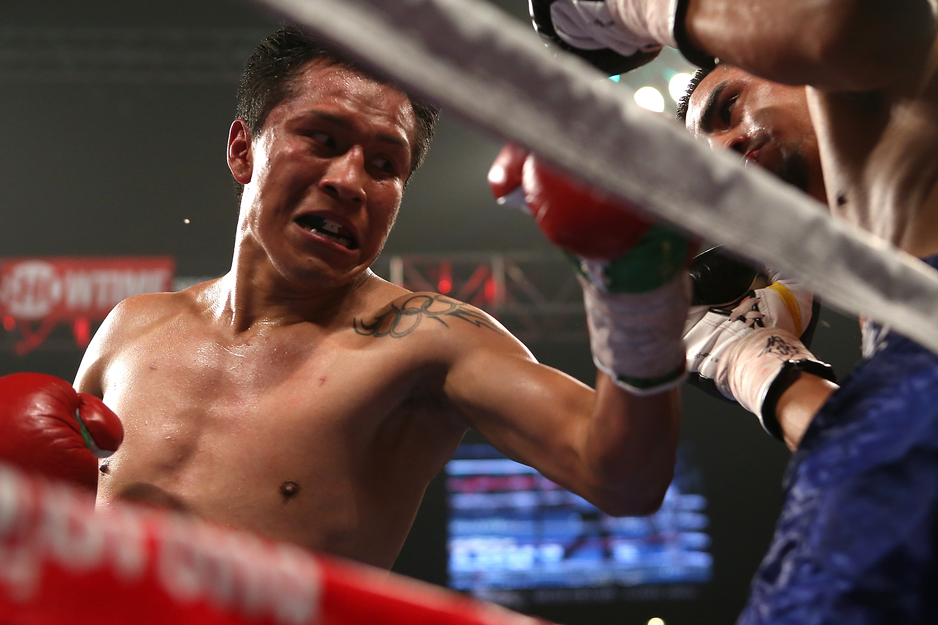 noticias de boxeo, Francisco Vargas proxima pelea