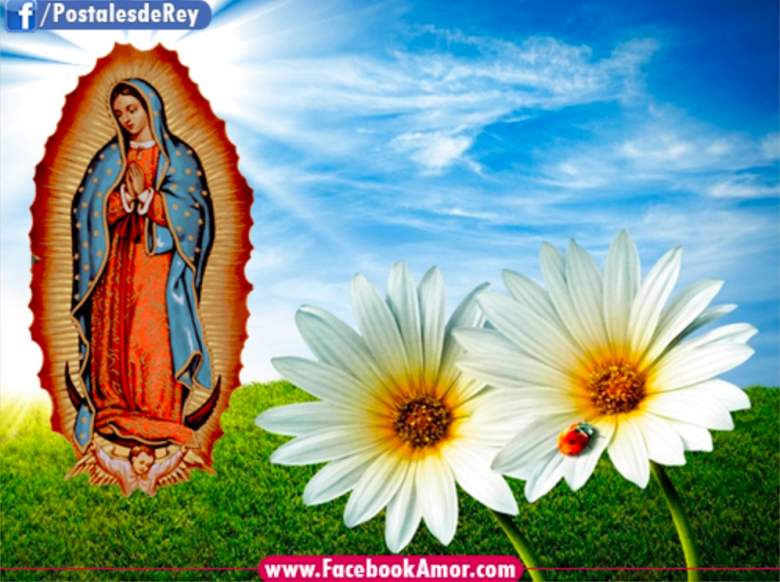 Virgen de Guadalupe frases para compratir