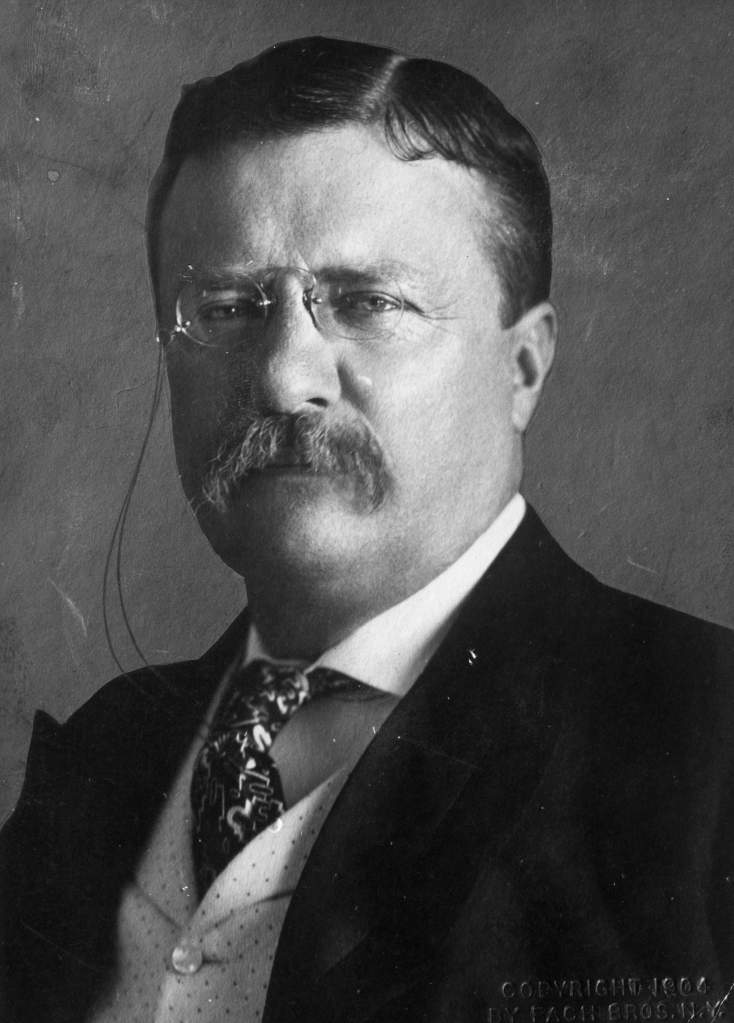 Theodore Roosevelt (Getty)