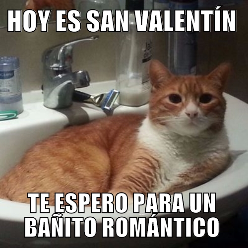 vchistes del Día de San Valentín, memes Día de San Valentín