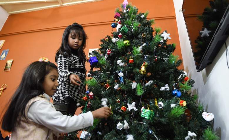 ¿Cuándo y dónde botar el árbol de Navidad 2018 para reciclar?