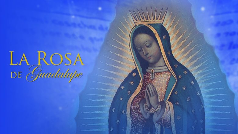 “La Rosa de Guadalupe”-ESTELAR: ¿A qué hora?¿Qué Canal?