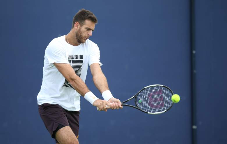 Martín del Potro hace anuncio sobre su futuro: ¿se retira del tenis?