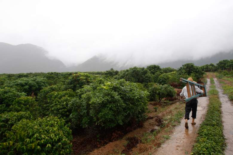 granja-yunnan