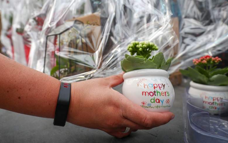 Una floristería muestra una maceta pequeña con una planta y las palabras 'Feliz Día de la Madre' escritas en ella, en una floristería en Merbes-Le-Chateau, Bélgica, el 9 de mayo de 2020.