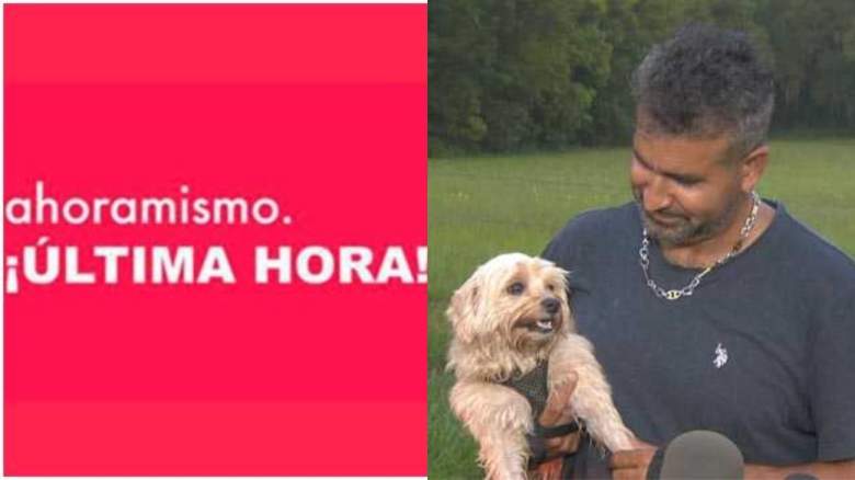 Perro alerta a dueño de incendio