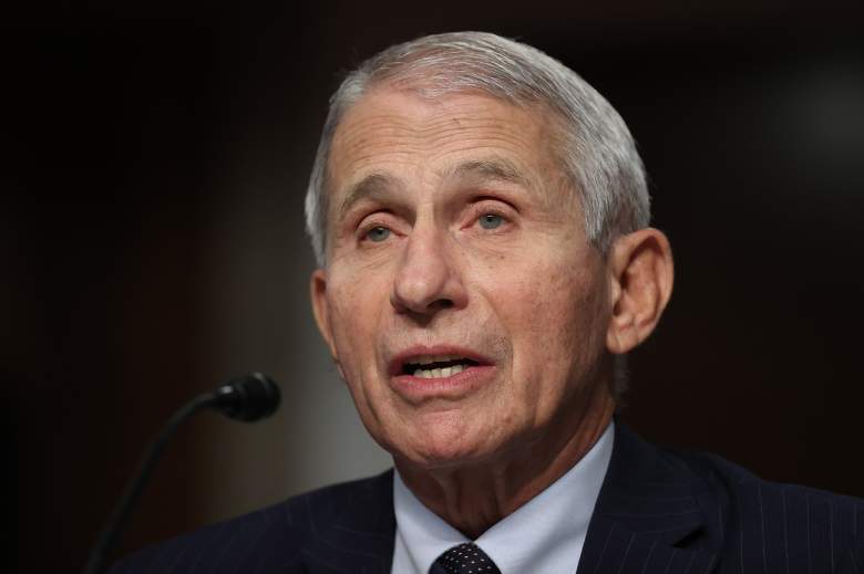 Anthony Fauci