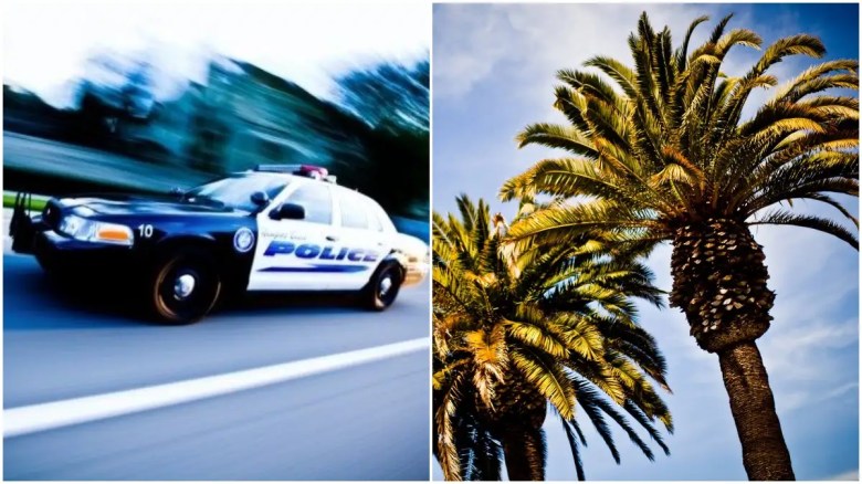 Newport Beach PD