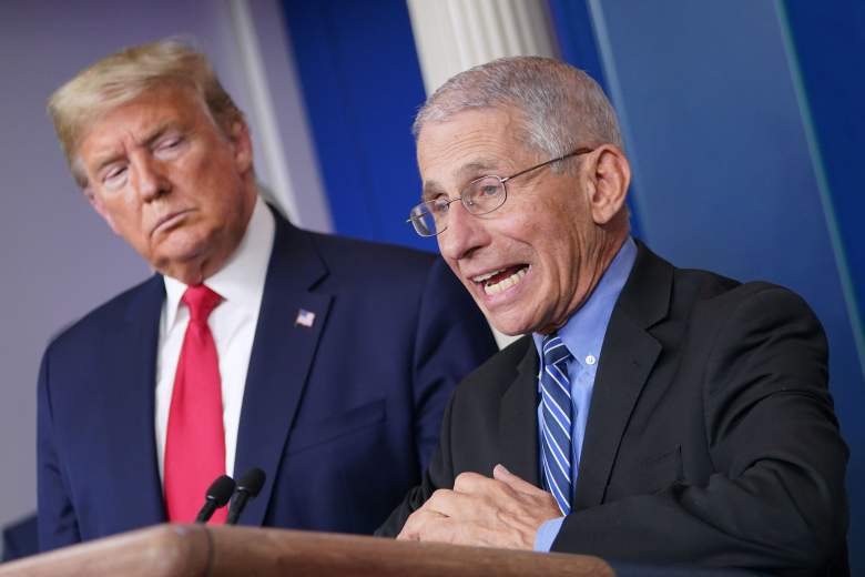 anthony-fauci-donald-trump