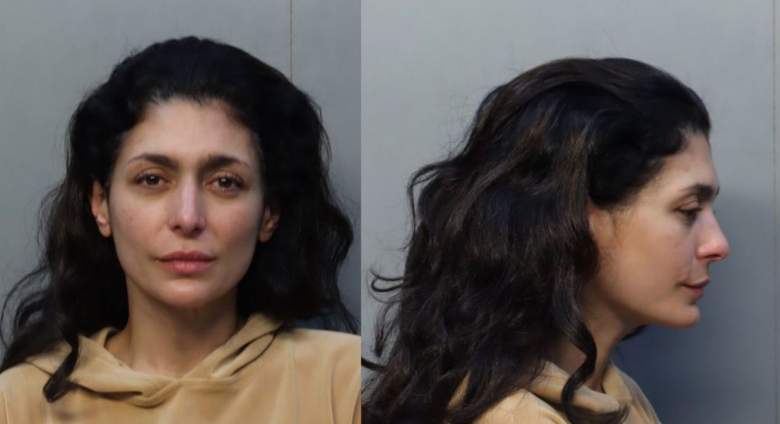 Vanessa Lyon mug shot