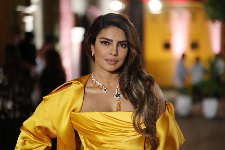 Priyanka Chopra sorprende con una fotografía de su hija [FOTO]