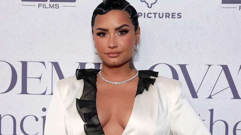 demi lovato joe rogan